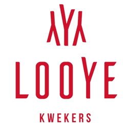 Looye logo