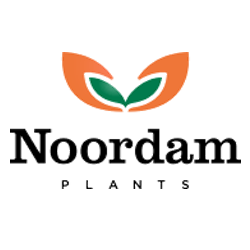 Noordam plants logo
