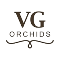 VG - orchids logo